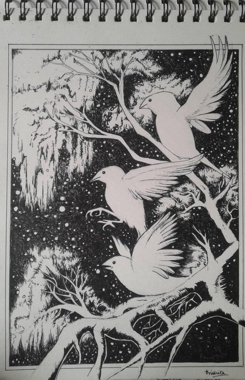 Winter Birds!!!