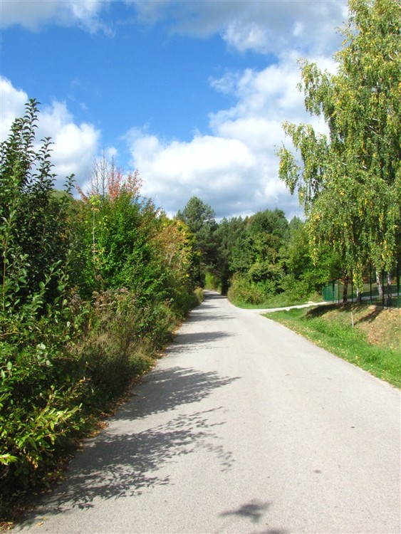 IMG 0025