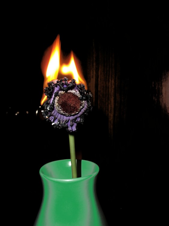 Fower on fire