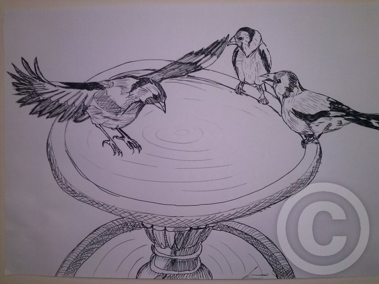 birds on a fountain