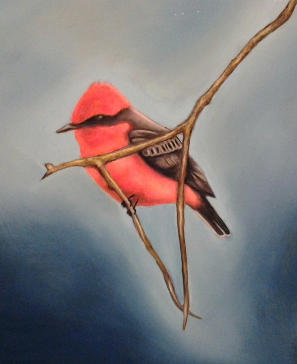 Redbird
