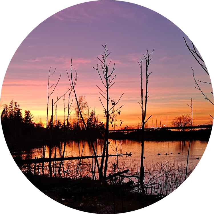 Sunset at Elgin Park
