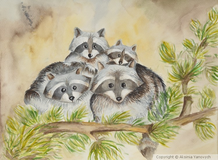 Coons family