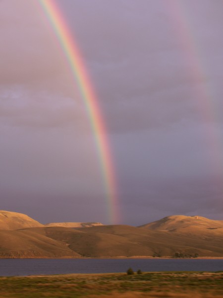 The Rainbow Connection