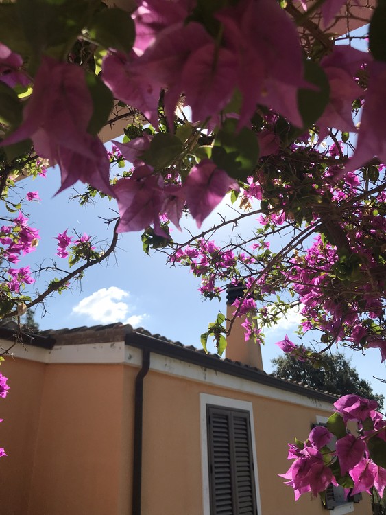 Italy- Sardegna