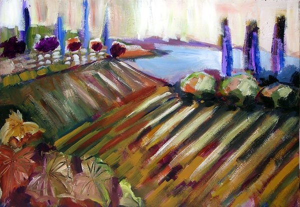 vineyard in the morning