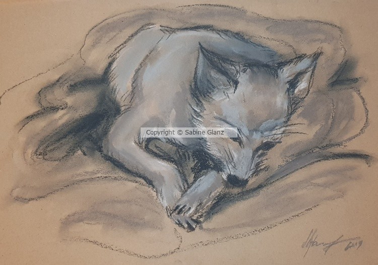 Sketch: Mojo Melancholic 2019