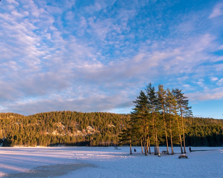 Frozen and snow covered lake