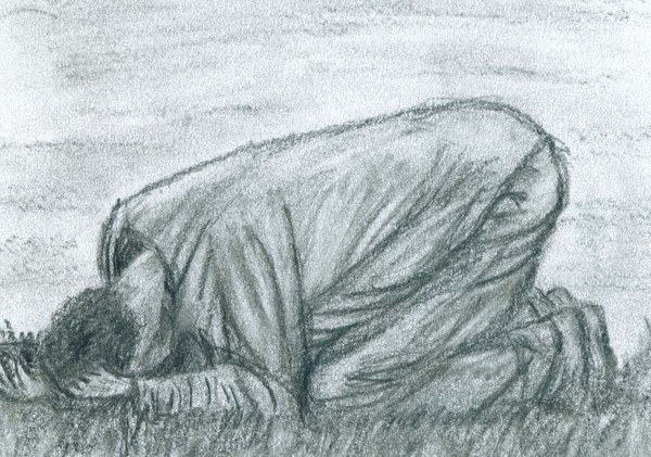 Despair.......