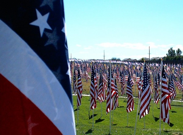 Field of Glory