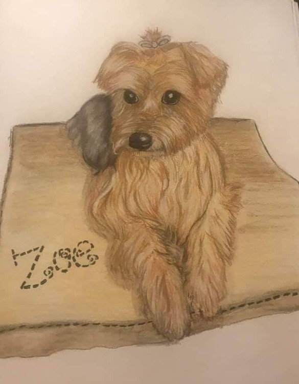Zoe In Rememberence