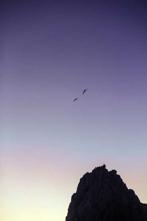 IMG 7866