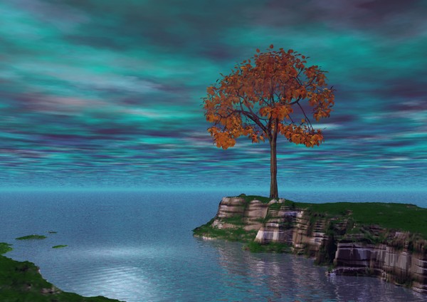Solitary Tree