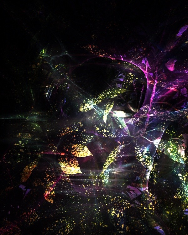 The Entity