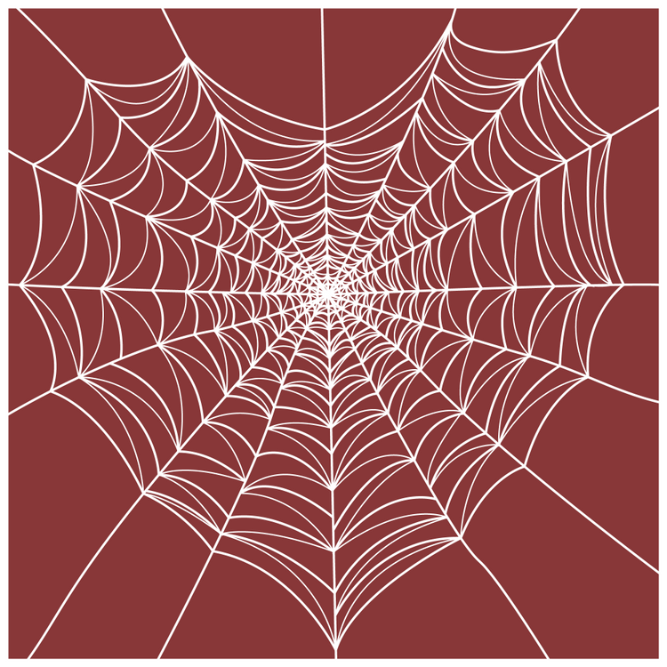 spiderweb