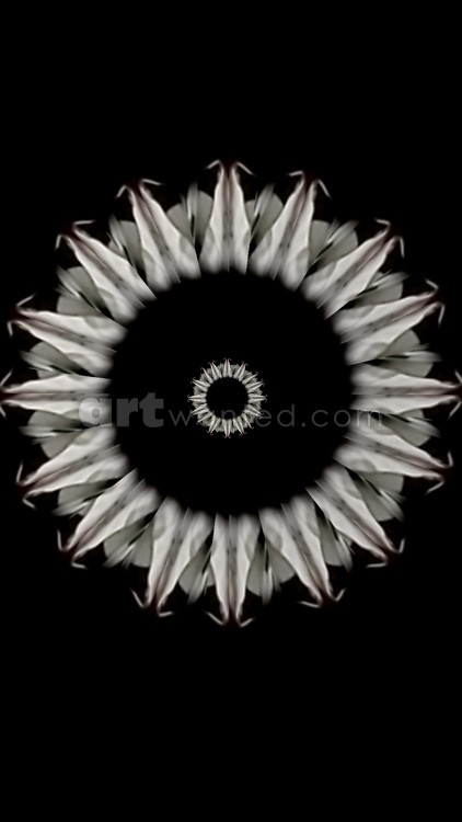 Optical design inspired by zen -4