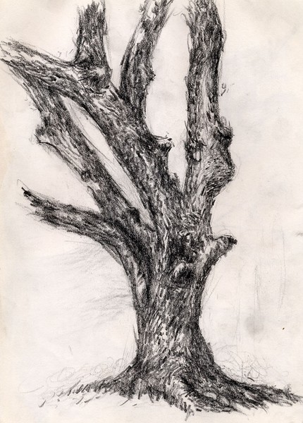 the wailing tree