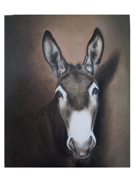 donkey´s ears