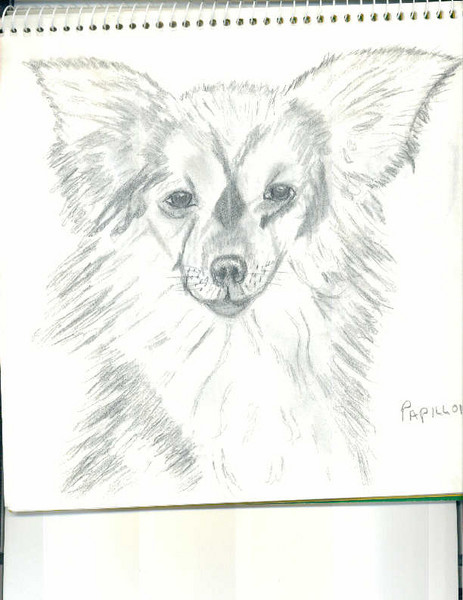 Puppy