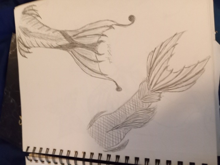 MerTail