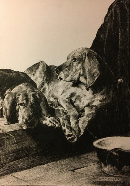Dogs Lazy moments