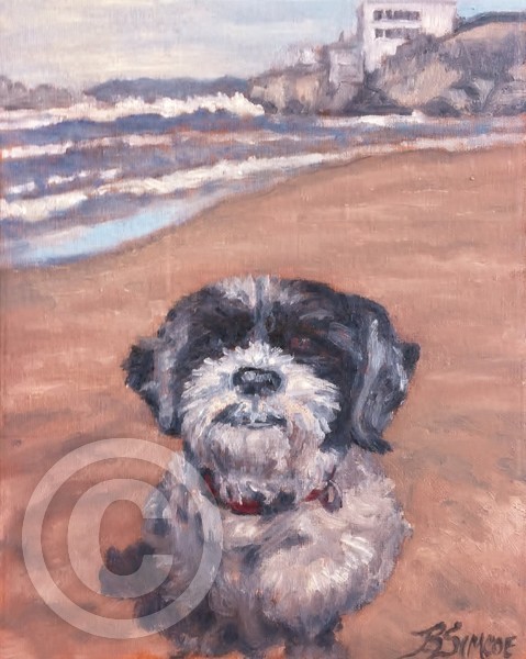 Bella at the beach