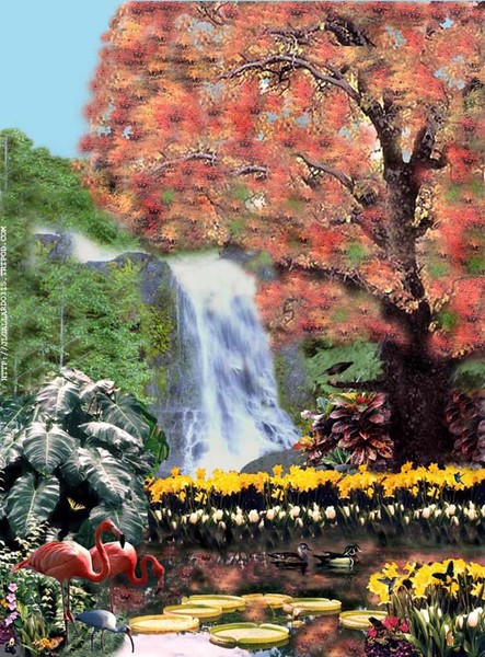 The Tree Of Life