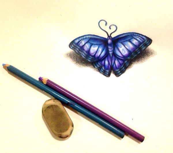Drop Shadow Butterfly No.2