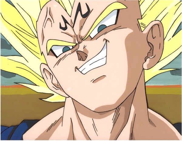 DragonBallZ Fan Cel: Vegeta