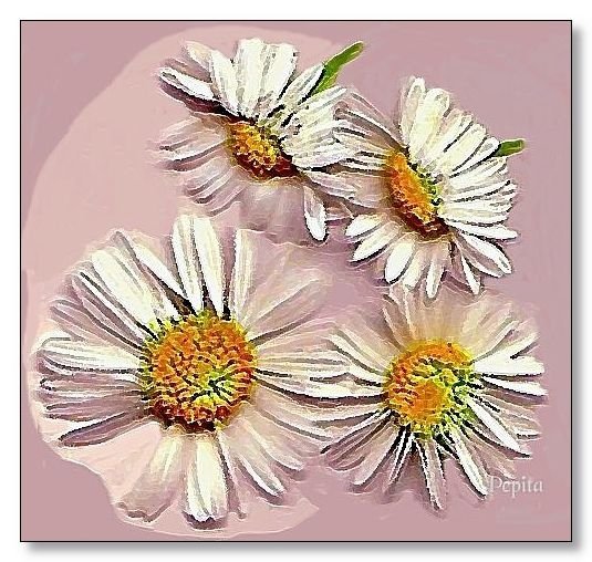 White Small Flowers