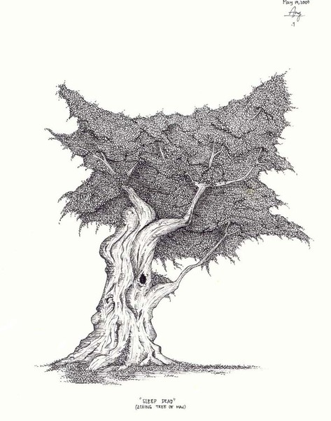 aching tree