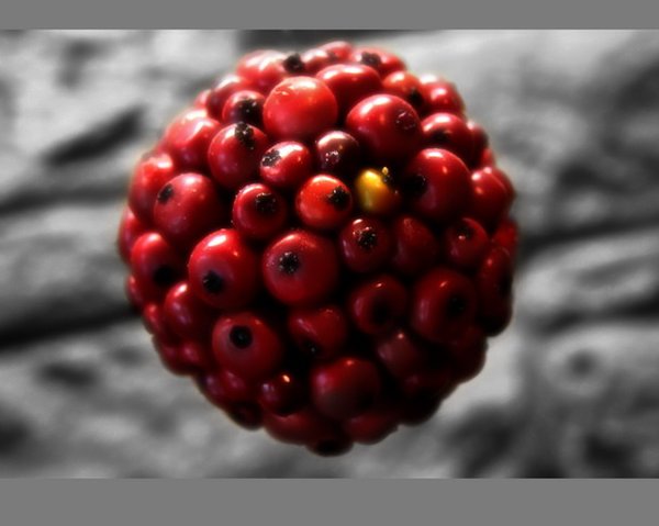The Big Red Round Thing