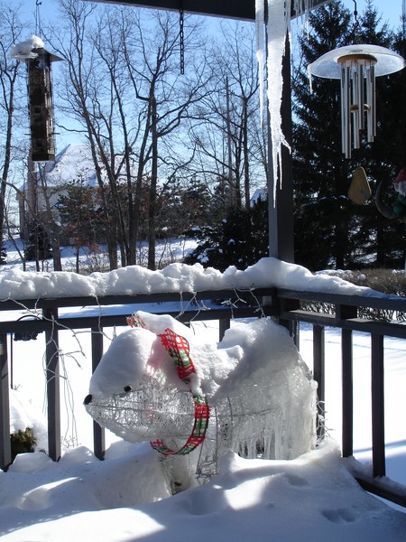 More  of a Bear Winter