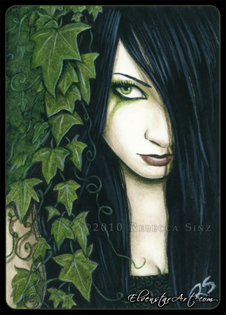 Ivy