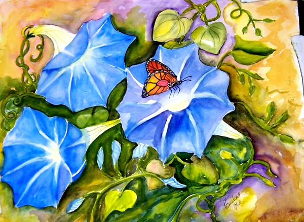 Morning Glory