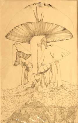 Mushroom Magic