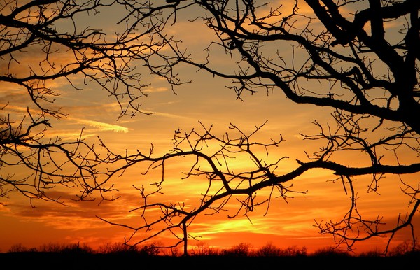 December Sunset