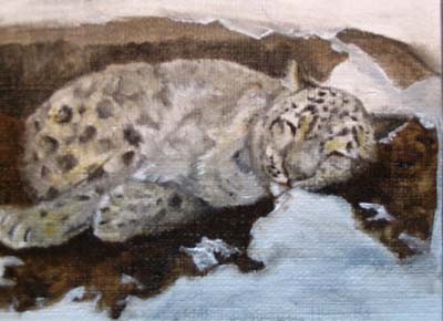 Snow leopard - ACEO