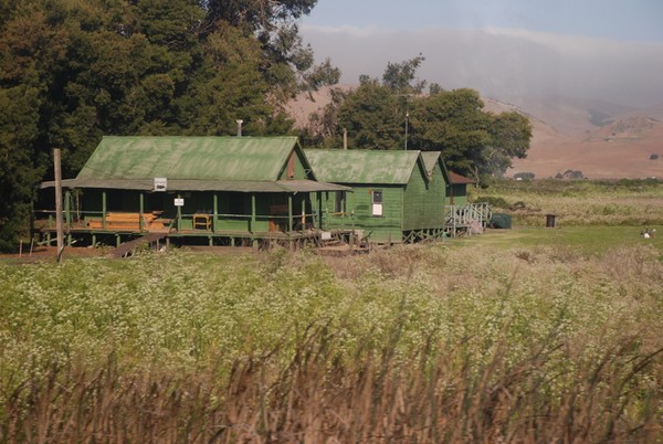 Wetland Dwellings