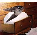LIL IN HER DRAWER
