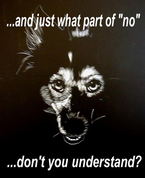 What Part of No...?