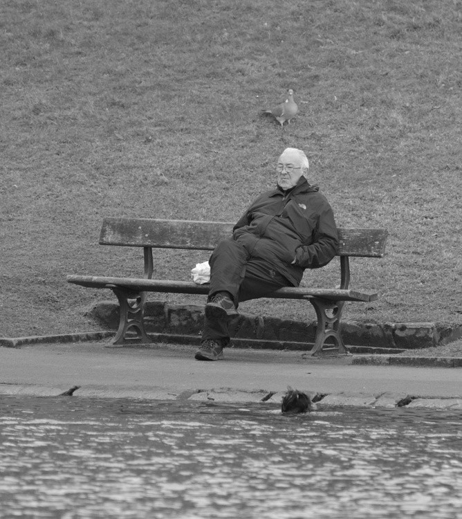 Couldn't Give A Coot