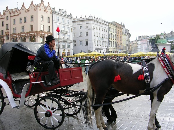 Grand Square of Krakow