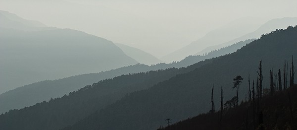 Layers