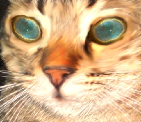 Galaxy Eyes