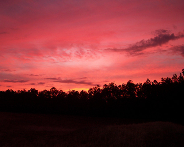 Winter Twilight