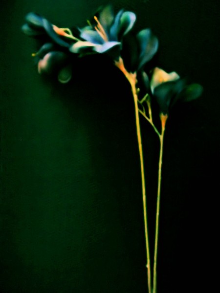 Tall Floral