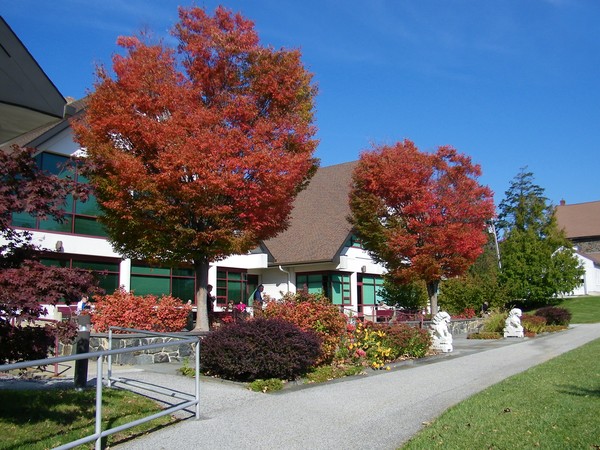 Arsht Hall in Fall Colors