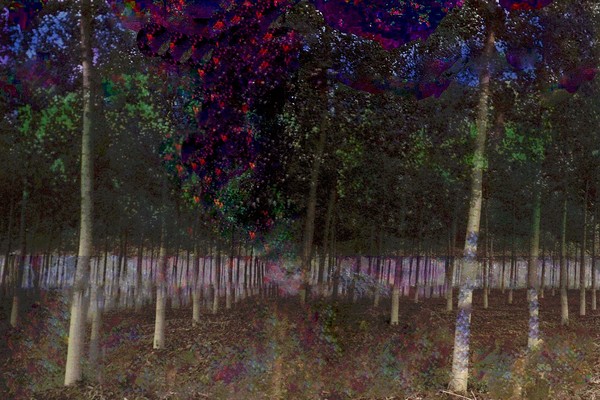 trees with some color 2