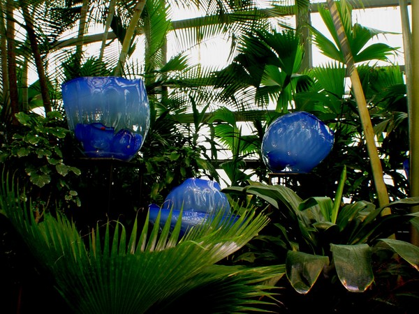 Chihuly 3